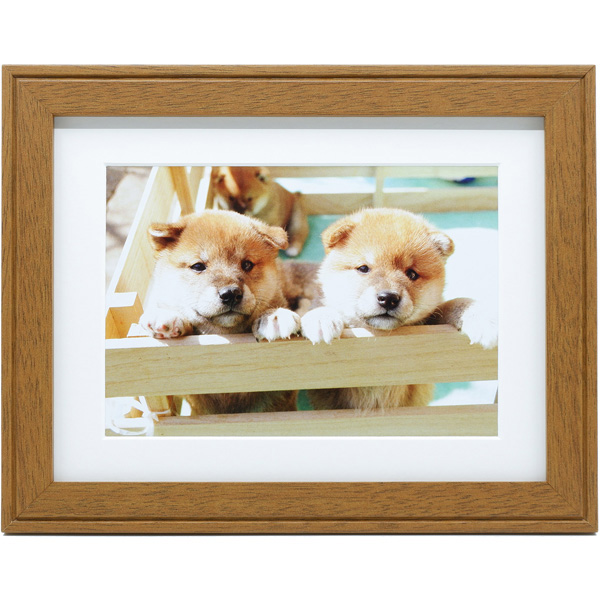 FUJICOLOR 木製額縁 YM-9 全紙 ブラウン