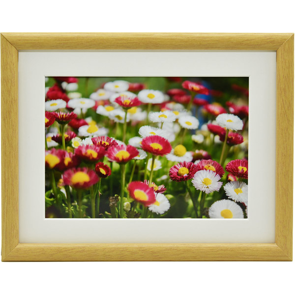 FUJICOLOR 木製額縁 M20 ワイド6切 木地