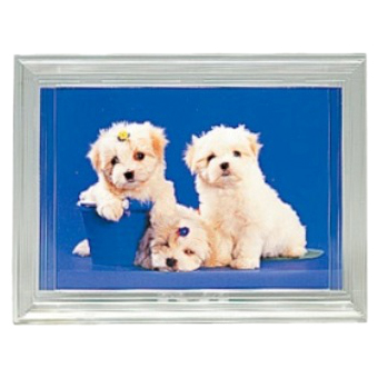 Lカラーフレーム クリア