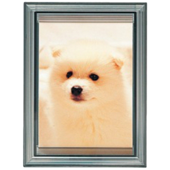 Lカラーフレーム スモーク