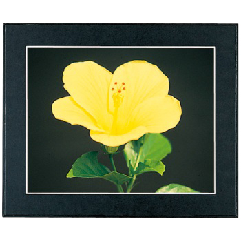 FUJICOLOR マットパネルDX A3 ブラック