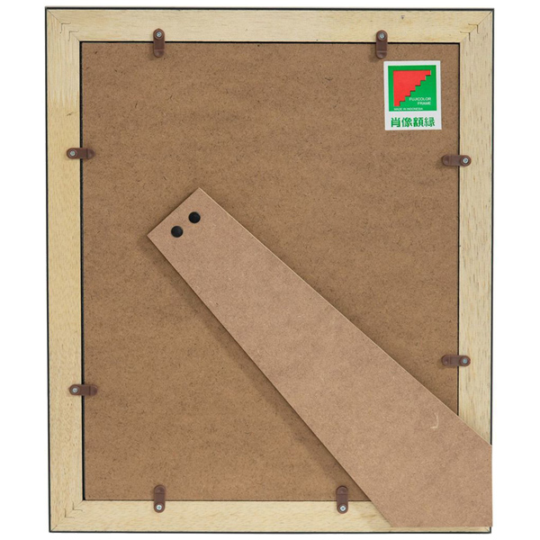 FUJICOLOR 肖像額縁 A4 ブラック 無反射