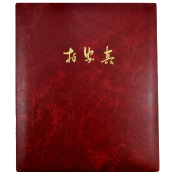 写真台紙 OLV-122(Vカット)(二ッ折) 2面 立大キャビネ(2L)