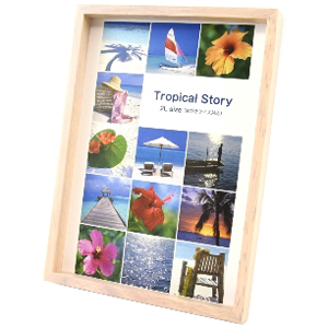 KING 木目調カラーフレーム JWC-2L-WH