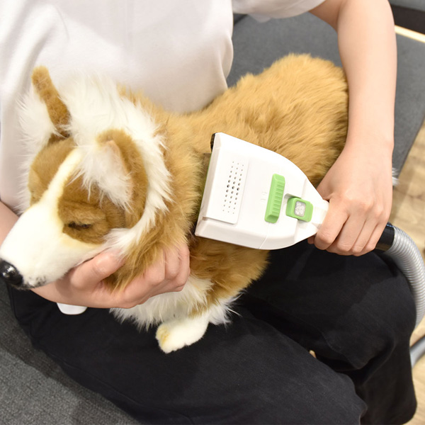 掃除機につけるわんタッチ抜け毛吸い取りブラシ