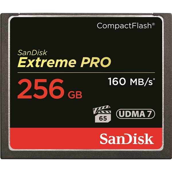 SanDisk エクストリーム プロ コンパクトフラッシュ 256GB