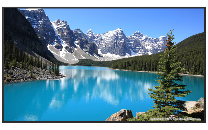 50V型 AndroidOS内蔵液晶ディスプレイ（50V型/3840×2160/HDMI、USB Type-C/ブラック/スピーカー有/18時間連続稼働/輝度450cd/標準3年オンサイト保証）