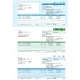 売上伝票(売上伝票・請求書・納品書/総額表示)