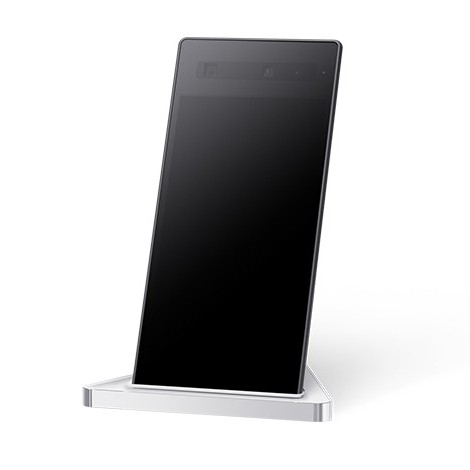空間再現ディスプレイ（Spatial Reality Display）