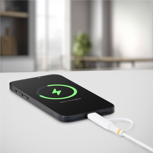 USB-C充電ケーブル/2m/Lightningアダプター付き/30W 60W（3A）/Apple MFi対応