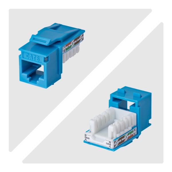 RJ45キーストーンジャック/CAT6対応/24個入/UTP非シールド/110パンチダウン/90度配線/ブルー