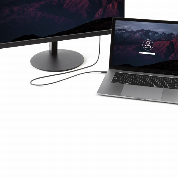 USB-C-DisplayPortディスプレイ変換ケーブルUSBType-C-ディスプレイポート変換アダプタ1.8m4K/60Hzブラック