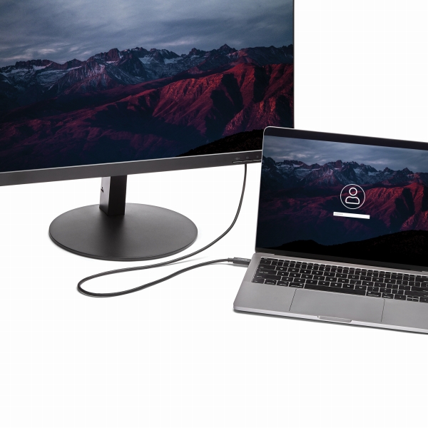 USB-C-DVIディスプレイケーブル2mブラック1920x1200/1080p対応USBType-C接続DVIモニタケーブル