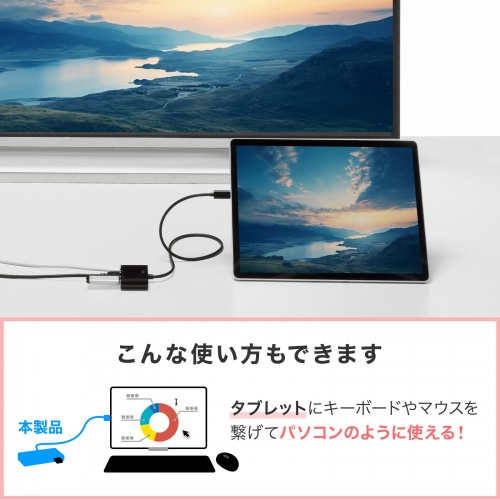 商品説明画像