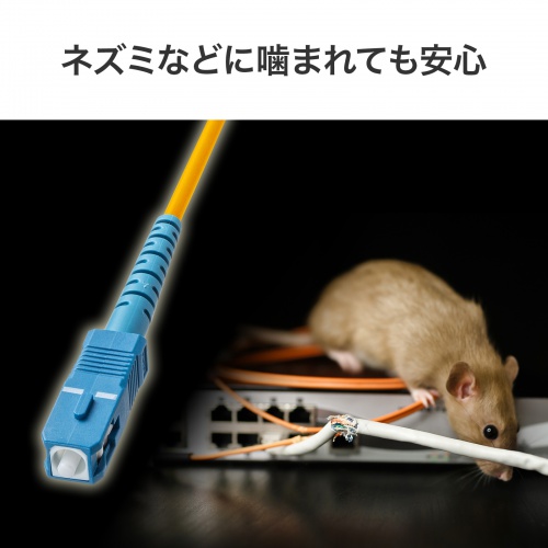 商品説明画像