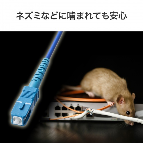 商品説明画像