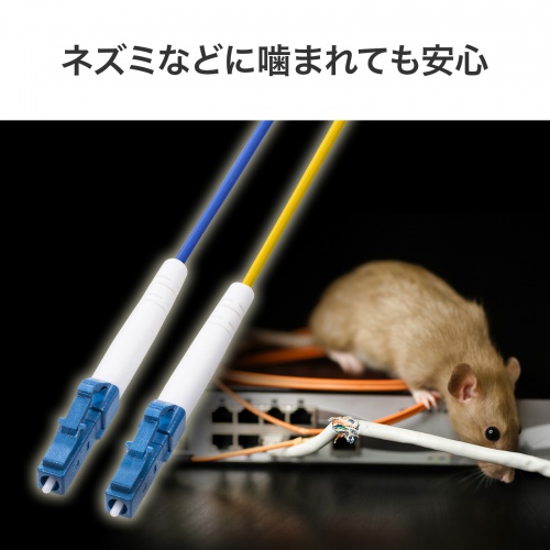 商品説明画像