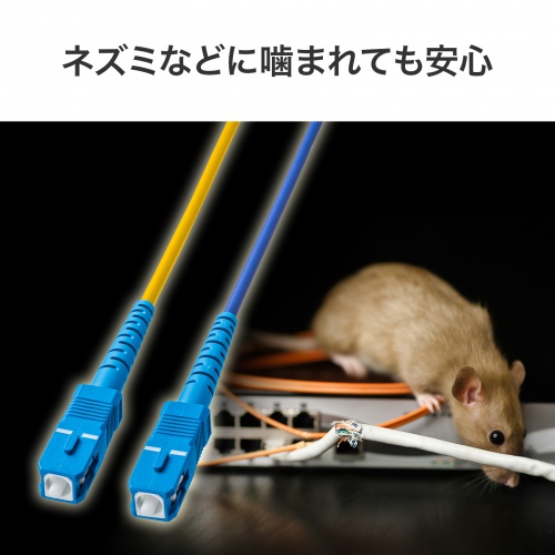 商品説明画像