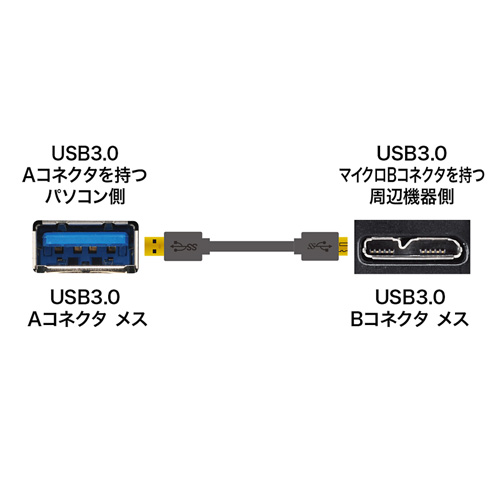 特長説明画像