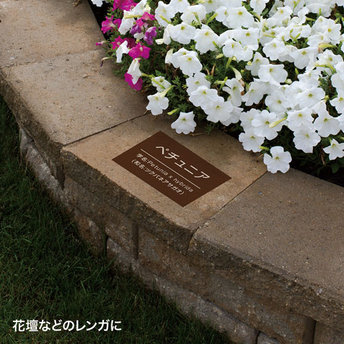 特長説明画像