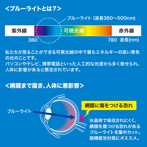 特長説明画像