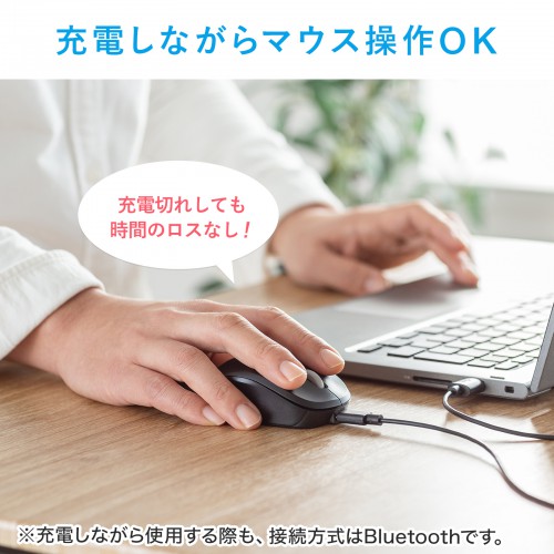 商品説明画像