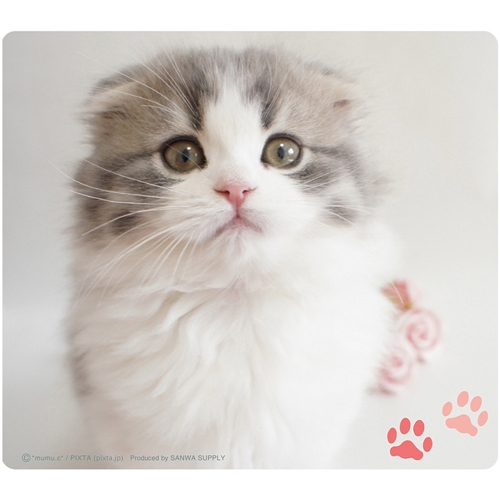 動物マウスパッド（スコティッシュフォールド）