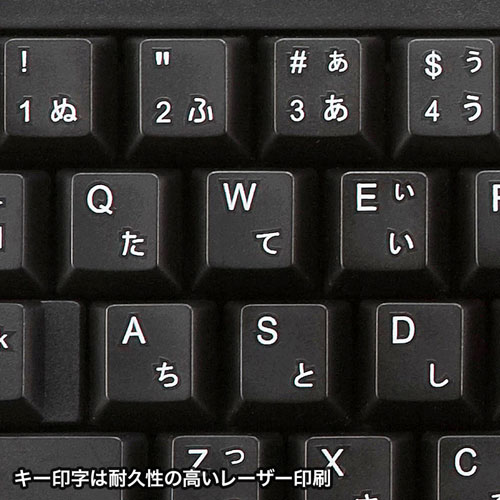 特長説明画像