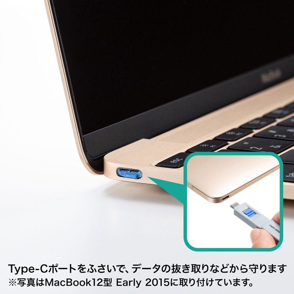 TypeCポート取付けセキュリティ（eセキュリティ）