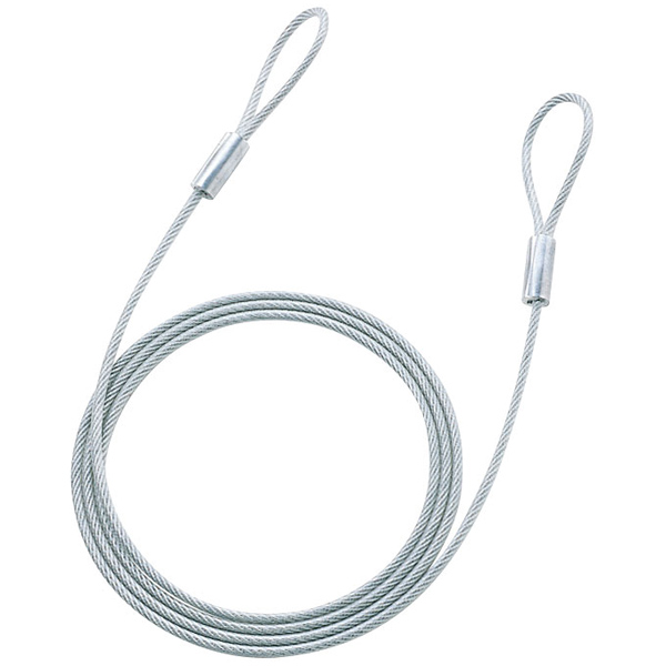 eセキュリティ（ワイヤー、長さ2.0m・直径4.6mm）