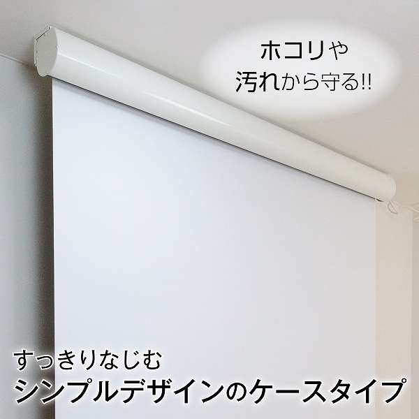 壁スイッチケース付き電動スクリーン 16:9 90インチ ブラックマスク付き