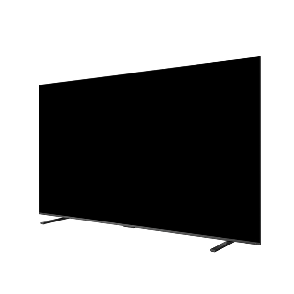 【REGZA】4K液晶テレビ 100V型 MiniLED スタンダードモデル 2025年モデル