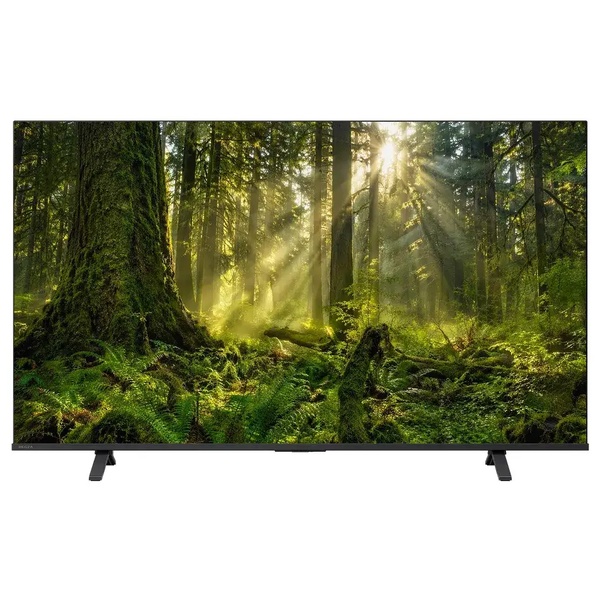 【法人向けREGZA】4K液晶レグザ65V型 新4K衛星放送・地上・BS・110度CSデジタル液晶テレビ