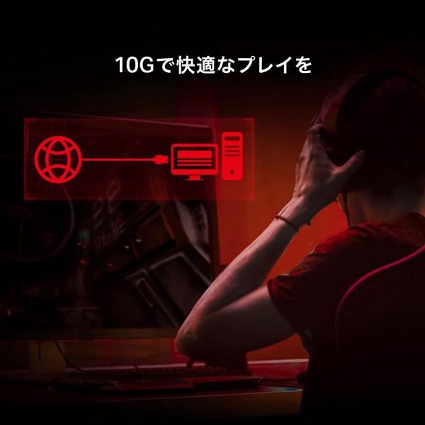 10ギガビット PCIe ネットワークアダプター