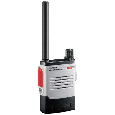 特定小電力トランシーバー 大型アクセスキーモデル 標準アンテナ仕様 グレー