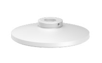 Standard Pendant Cap