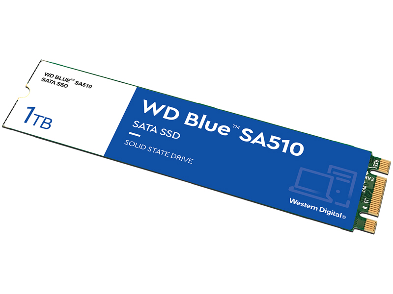 WD Blue SA510 SATA接続 M.2 SSD 1TB 5年保証 WDS100T3B0B