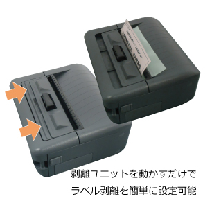 斜め左上からの画像