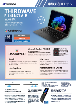 ��ʓV�݌Ƀ��f�� THIRDWAVE F-14LN7LA-B �@�l���f��