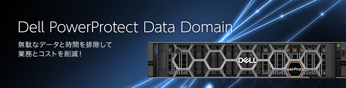 Dell PowerProtect Data Domain