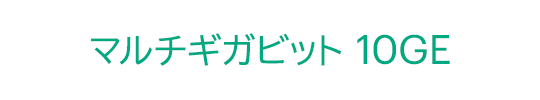 �}���`�M�K�r�b�g 10GE
