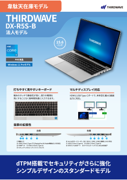 ʓV݌Ƀf THIRDWAVE DX-R5S-B @lf