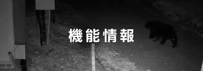 �@�\���C���[�W