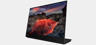 ThinkVision M14t Gen 2
